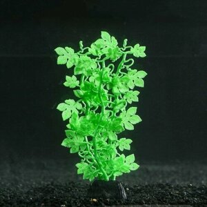 Растение аквариумное КНР силиконовое, светится в темноте, 6,5х18 см, зеленое