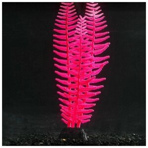 Растение аквариумное КНР силиконовое, светится в темноте, 8х23 см, розовое
