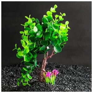 Растение аквариумное Пижон Аква искусственное, 18х11х21,5 см