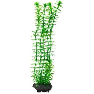 Растение аквариумное с утяжелителем Tetra Anacharis 2, 23 см