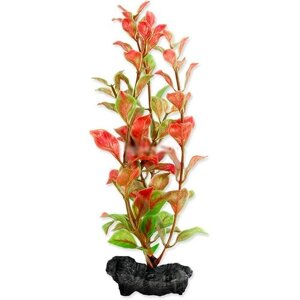 Растение аквариумное с утяжелителем Tetra Red Ludvigia 2, 23 см