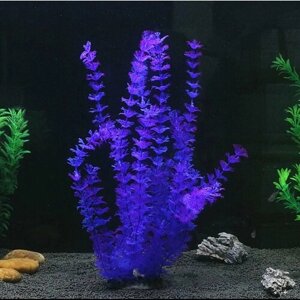 Растение для аквариума , 40 см