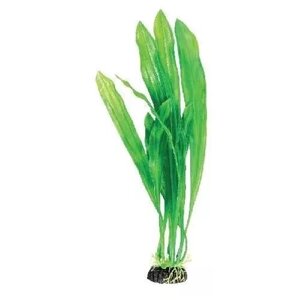 Растение "Эхинодорус" зеленый, 200мм 74044036 Laguna