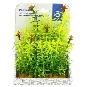 Растение Гигрофила красно-желтая пластик 16см
