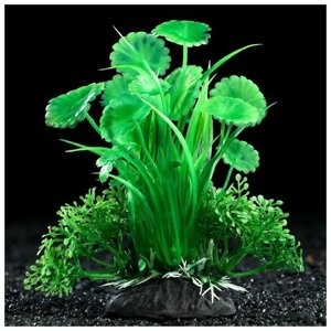 Растение искусственное аквариумное 10 см зелёное