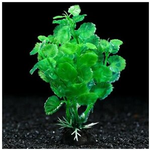 Растение искусственное аквариумное, 3 х 13 см, зелёное