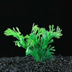 Растение искусственное аквариумное, до 9 см (5 шт)