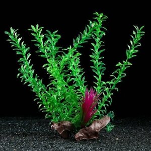 Растение искусственное аквариумное на платформе в виде коряги, 30 см, зелёное (комплект из 5 шт)