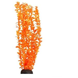 Растение Laguna Людвигия ярко-оранжевая для акариумов (50 см)