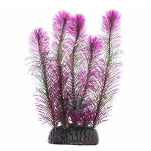 Растение Laguna "Перистолистник" фиолетовый 200мм