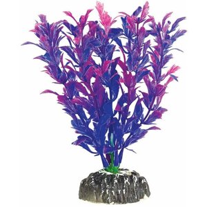 Растение Людвигия фиолетовая, 100мм