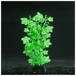 Растение силиконовое аквариумное, светящееся в темноте, 6,5 х 18 см, зелёное 7108788