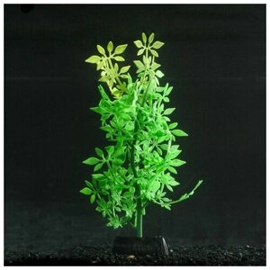 Растение силиконовое аквариумное, светящееся в темноте, 8 х 19 см, зелёное