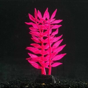 Растение силиконовое аквариумное, светящееся в темноте, 8 x 15 см, розовое