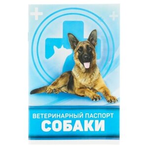 Romanoff Ветеринарный паспорт "Для собаки", 10,3 х 15,1 см