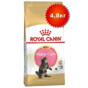 Роял Канин MAINE COON KITTEN корм для котят породы мейн-кун в возрасте от 3 до 15 месяце 400 г*12 шт