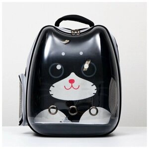 Рюкзак для переноски кошек и собак прозрачный"Котик", 34х25х40 см, чёрный