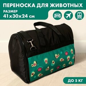 Рюкзак для переноски животных, 41х30х24 см, цвет черный с зеленым