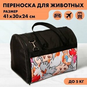 Рюкзак для переноски животных, 41х30х24 см, цвет черный