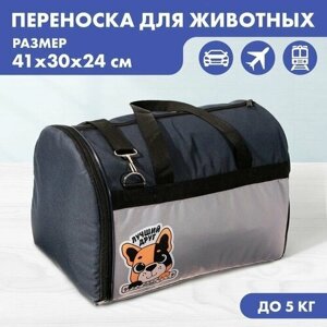Рюкзак для переноски животных, 41х30х24 см, цвет синий с серым