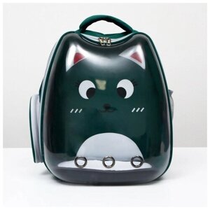 Рюкзак для переноски животных "Котик", прозрачный, 34 х 25 х 40 см, зелёный 6971556