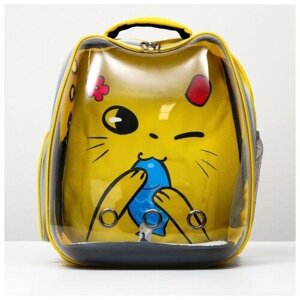 Рюкзак для переноски животных "Котик", прозрачный, 34 х 25 х 40 см, жёлтый 6971554