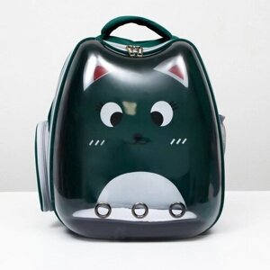 Рюкзак для переноски животных "Котик", прозрачный, 34 x 25 x 40 см, зелёный