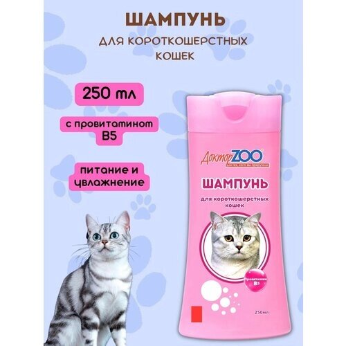 Шампунь для короткошерстных кошек ДокторZOO 250 мл
