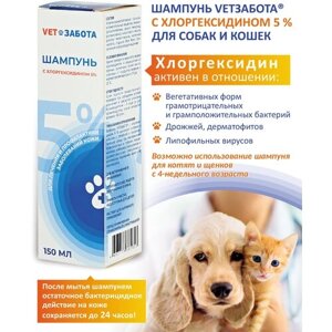 Шампунь для собак, кошек, котят, щенков VETЗабота лечебный с хлоргексидином 5 %антибактериальный от аллергии и дерматита, 150 мл