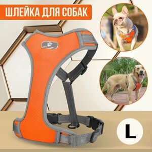 Шлейка анатомическая для собак, со светоотражателем, оранжевая, размер L