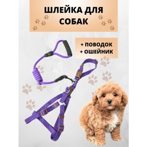 Шлейка для кошек и собак (в комплекте поводок, ошейник, шлейка), фиолетовый, размер S