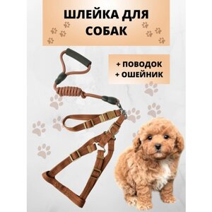 Шлейка для кошек и собак (в комплекте поводок, ошейник, шлейка), коричневый, размер XS