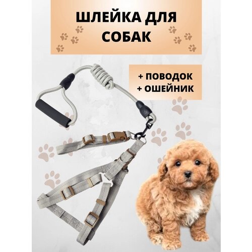 Шлейка для кошек и собак (в комплекте поводок, ошейник, шлейка) , серый, размер XS