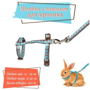Шлейка для кроликов DUVO+Морковки", голубая, 25-45см/10мм-120см/10мм (Бельгия)