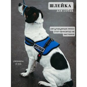 Шлейка для собак анатомическая, размер XL, для крупных, средних и мелких пород средних и мелких пород