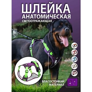 Шлейка для собак фиолетовая L