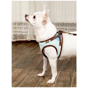 Шлейка для собак Japan Premium Pet / Шлейка - жилетка для собак мелких пород, в стиле эпохи наполеоновского амира, размер SS, цвет: бирюзовый