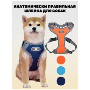 Шлейка для собак мелких, средних и крупных пород, прогулочная анатомическая, вес до 50-кг, цвет оранжевый - L