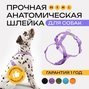 Шлейка для собак средних и крупных пород анатомическая размер М, фиолетовая, PRO COMFORT