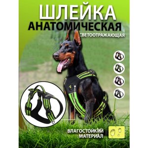 Шлейка для собак зеленая L