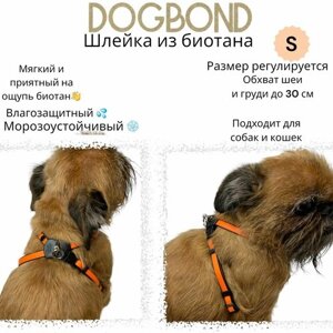Шлейка Dogbond "Dogs Life" влагозащитная из биотана для собак малых пород и кошек