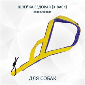 Шлейка ездовая totemica для собак X-Back, классическая "Жёлто-фиолетовая" XL