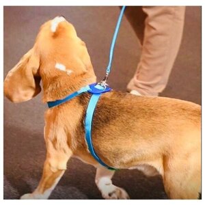 Шлейка Japan Premium Pet для собак "Легко Надеть" с защитным механизмом от перекручивания