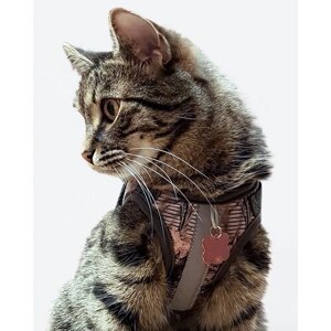 Шлейка-поводок для кошек и собак мелких пород, размер XS "Розовый бархат", шлейка-жилетка Шлейка для Мейн-куна. Адресник в подарок. Ошейник