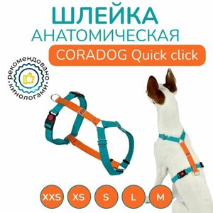 Шлейка прогулочная анатомическая для мелких и средних пород собак, CORADOG Quick click, размер XS, цвет бирюзовый, оранжевый