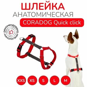 Шлейка прогулочная анатомическая для средних и крупных пород собак, CORADOG Quick click, размер M, цвет красный, серый