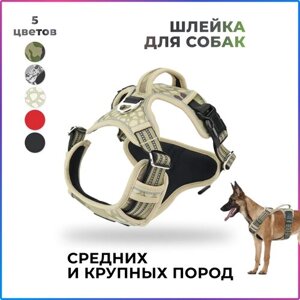 Шлейка прогулочная для собак средних и крупных пород / бежево-оливковый / размер XL