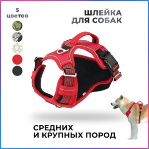 Шлейка прогулочная для собак средних и крупных пород / красный / размер L