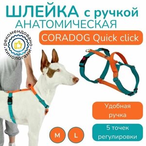 Шлейка с ручкой прогулочная анатомическая для средних и крупных пород собак, CORADOG Quick click, размер L, цвет бирюзовый, оранжевый