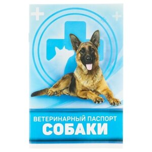 Сима-ленд Для собаки 28 г 10.3 см 15.1 см 10.3 см голубой